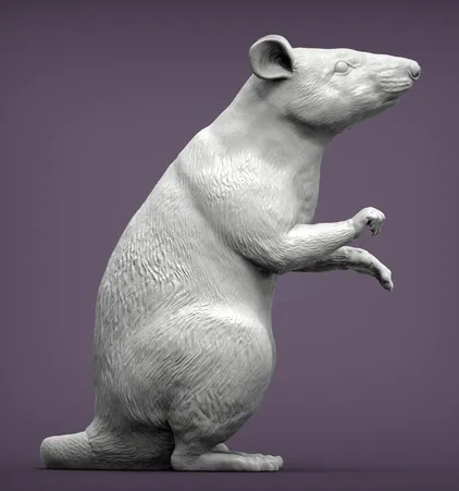Rat géant africain assis / rat hamster par Akuzmenko en impression 3D