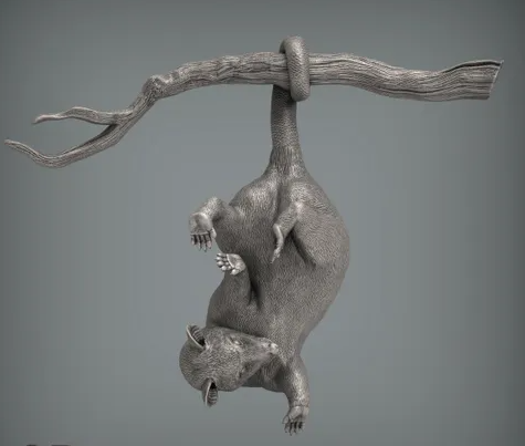 Opossum on a tree by Azukmenko as 3D print