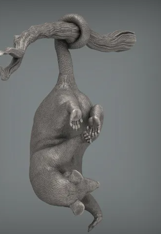 Opossum hängt an Ast von Akuzmenko als 3D Druck