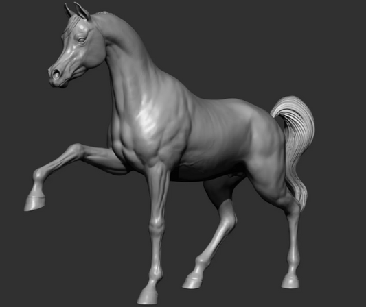 Version 5 de l'Arabe par DaniArtist en impression 3D