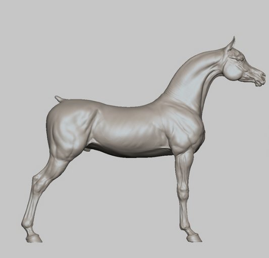 Arabian stallion in T-pose / Version for customizing by BreathTime as 3D print