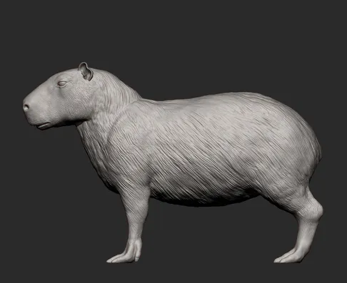 Capybara von Akuzmenko als 3D Druck