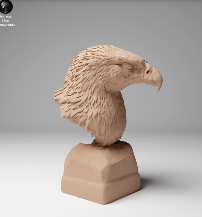 Sea eagle bust by Animal den miniatures as 3D print