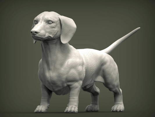 Dachshund d'Akuzmenko en impression 3D