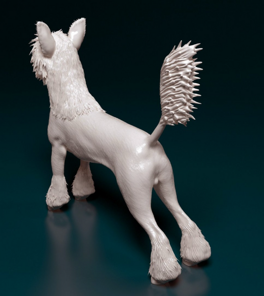 Chinesischer Schopfhund in 3 Versionen von StereoCat als 3D Druck