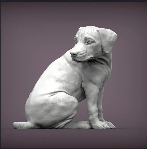 Rhodesian Ridgeback puppy from Akuzmenko as 3D print