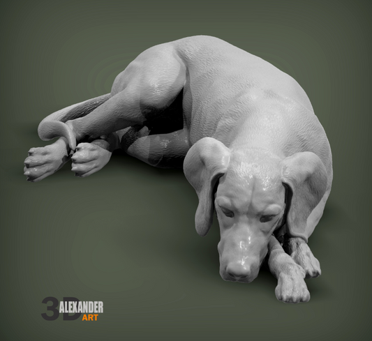 Schlafender Ungarischer Vorstehhund von Azukmenko