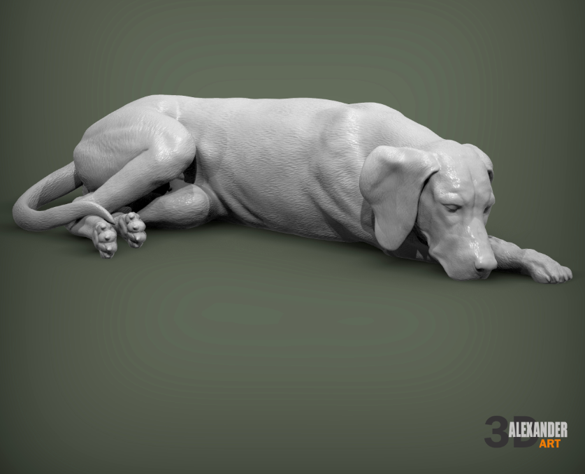 Schlafender Ungarischer Vorstehhund von Azukmenko