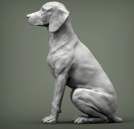 Sitzender ungarischer Vorstehhund von Akuzmenko als 3D Druck