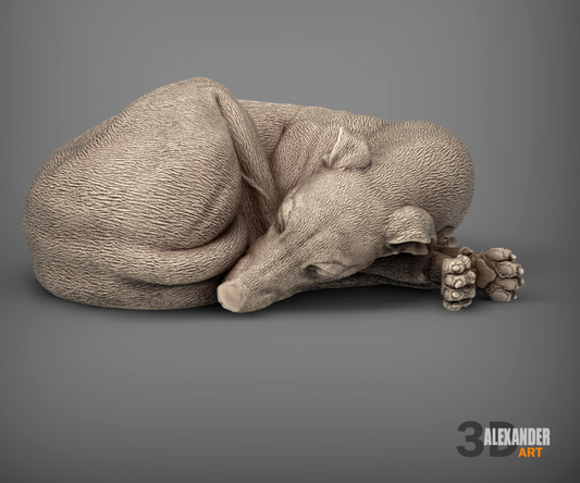 Whippet endormi par Azukmenko