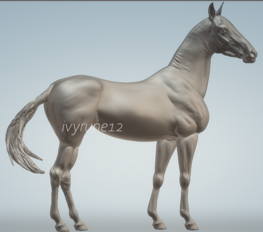 Graceful Akhal-Teke stallion / Exclusive model by Ivyrune12