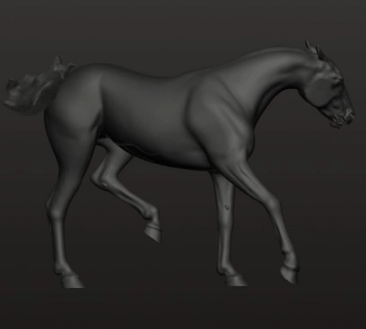 Cheeky Achal-Teke mare "Hela" / Exclusively available from us