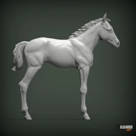 Standing foal of Azukmenko as 3D print