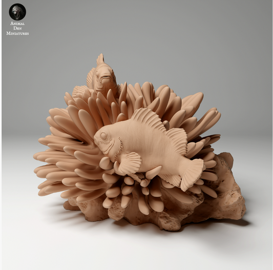 Clownfish from Animals den miniatures as 3D print