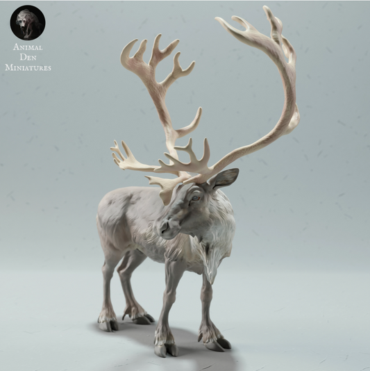 Stehender Karibu Bock animal den miniatures als 3D Druck