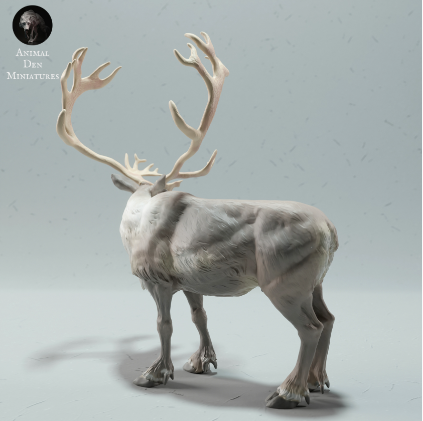 Stehender Karibu Bock animal den miniatures als 3D Druck