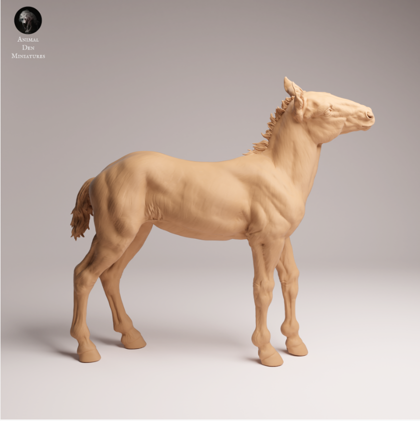 Cute Mustang foal from Animals den miniatures as 3D print