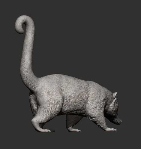 Nasenbär von Akuzmenko als 3D Druck