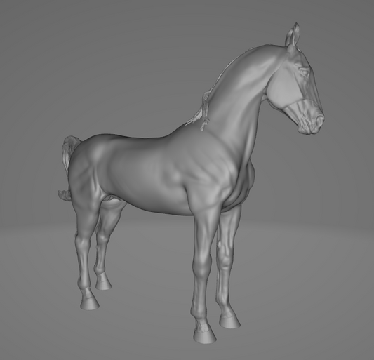 Marwari Stallion by mccustomstudio / In collaboration with mccustomstudio