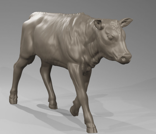 Beef veal (Higins) from PPD