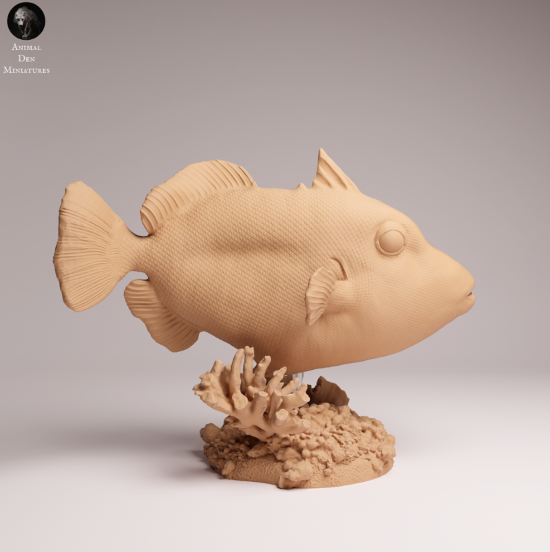 Clown Drückerfisch von Animals den miniatures als 3D Druck