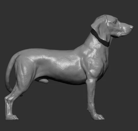 Bavarian Mountain Bloodhound by Alexander3dArt