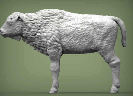 Bison Kalb von Alexander3dart als 3D gedruckte Figur