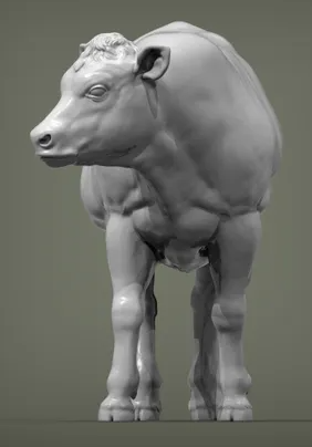 Belgisch Blau Kalb von Alexander3dart als 3D Druck