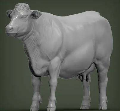 Charolais Kuh von Alexander3dart / Modelltier
