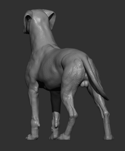 Dalmatiner von Alexander3dArt