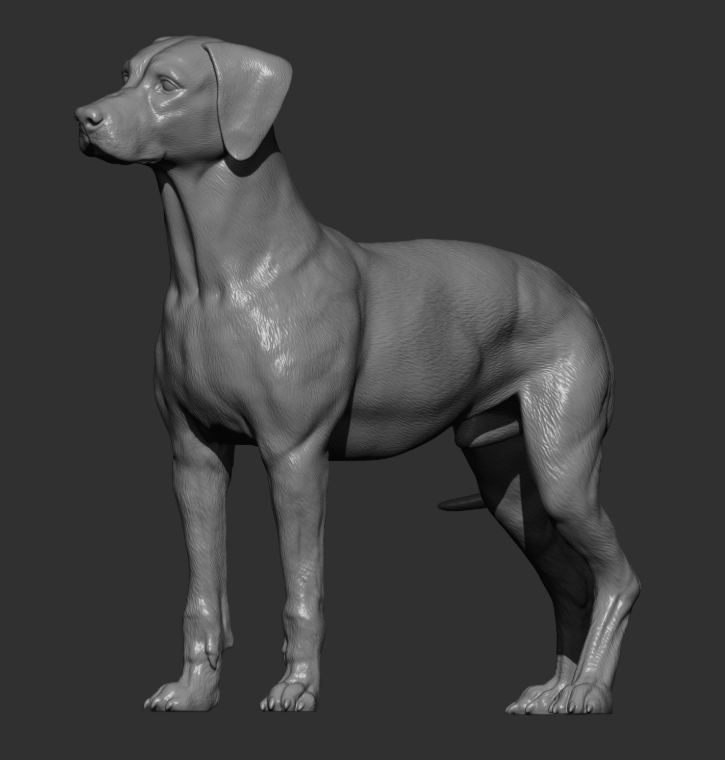 Dalmatiner von Alexander3dArt