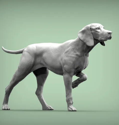 Wachsamer Ungarischer Vorstehhund von Alexander3dArt