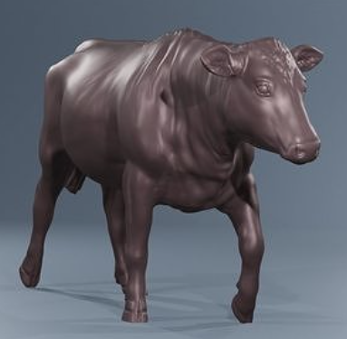 Young running cow from PPD