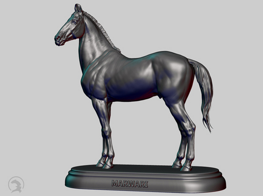Étalon Marwari par Boppirex / Cheval miniature