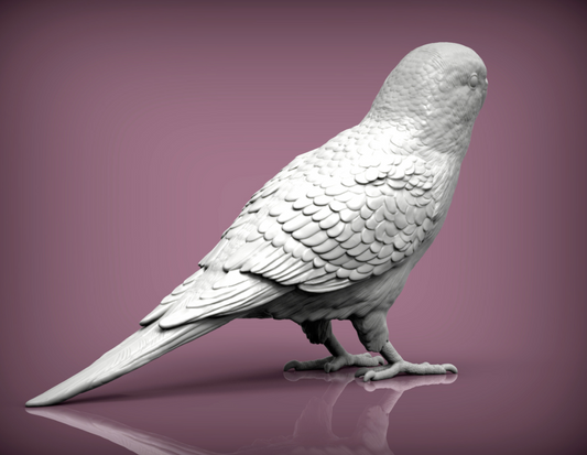 Wellensittich von Alexander3dArt als Tierfigur