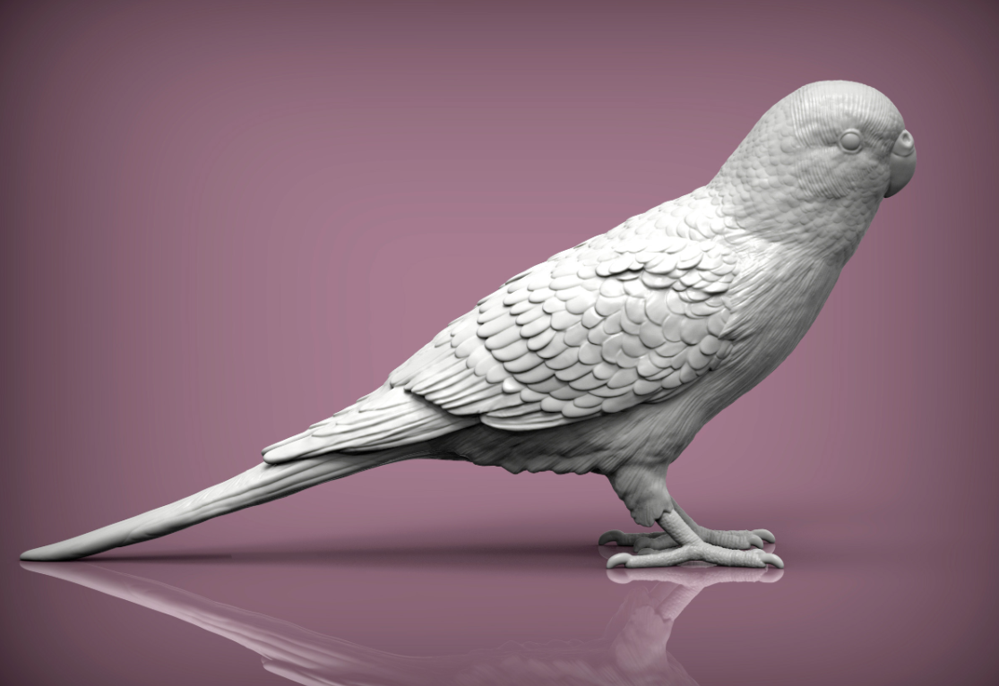 Wellensittich von Alexander3dArt als Tierfigur