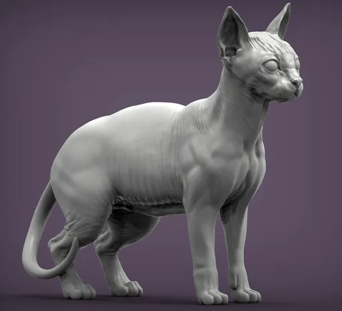 Sphynx Katze steht von Alexander3dart als 3D Druck