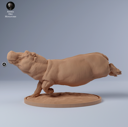 Hippopotamus swims from Animal the miniatures