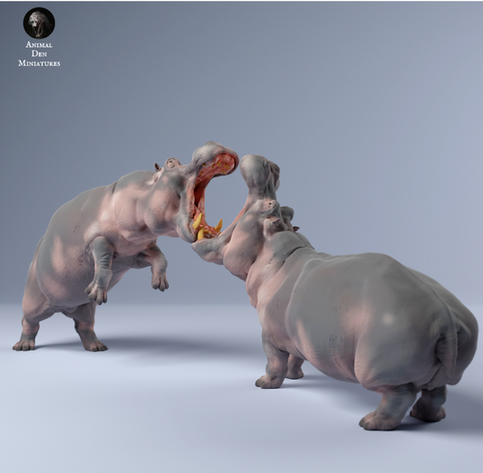 Nilpferdbullen Kämpfen von Animal den miniatures