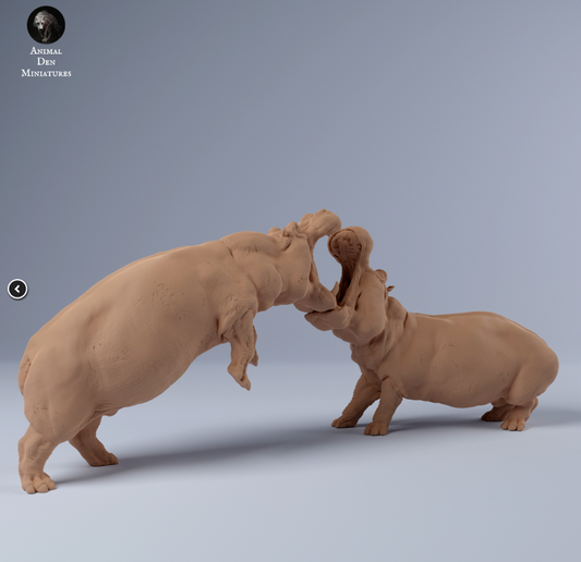 Hippopotamus Bulls Fighting by Animal Den Miniatures