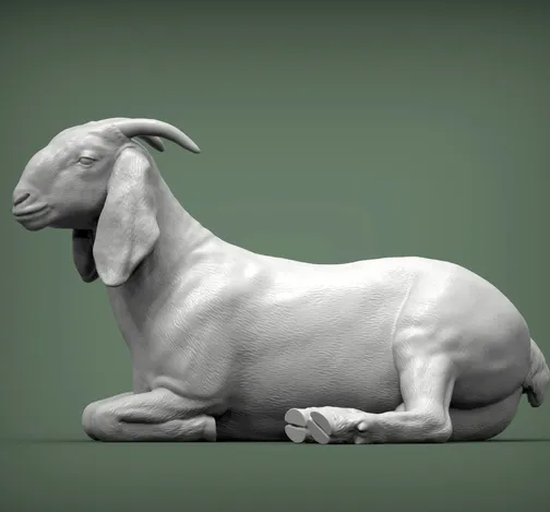 Liegende Buren Ziege von Alexander3dart / Als Miniatur-Tierfigur