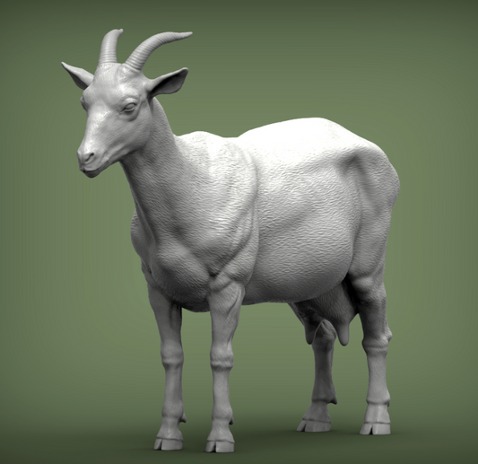 Stehende Ziege von Alexander3dart / Als Miniatur-Tierfigur