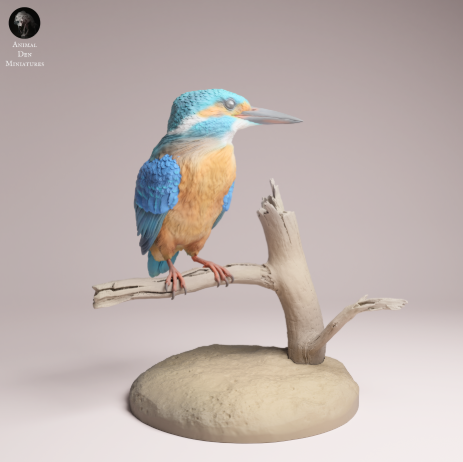 Eisvogel sitz auf Ast von Animal Den Miniatures
