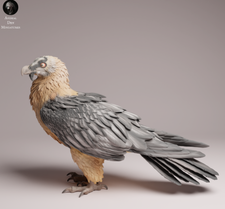 Bartgeier von Animal den miniatures