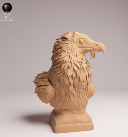 Bearded Vulture bust by Animal den miniatures as 3D print