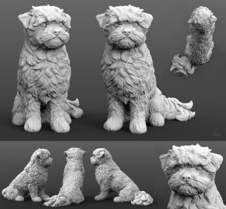Shi Tzu / Malteser-Mix von Alexander3dart