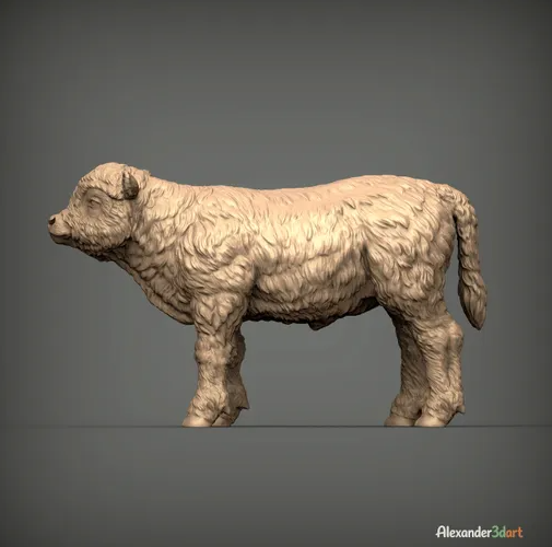 Schottisches Hochland Kalb / unbemalter Resin 3D Druck