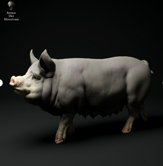 Bershire Pig No. 3 by Animal den miniatures