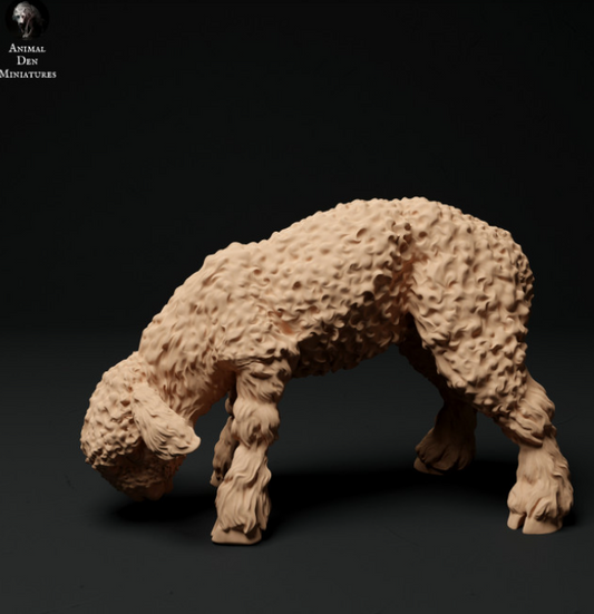 Devon und Cornwell Langwoll Lamm Nr.2 von Animal den miniatures