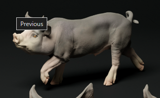 Bershire Piglet No. 3 from Animal den miniatures